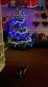 Our Christmas tree at Naughty or Nice